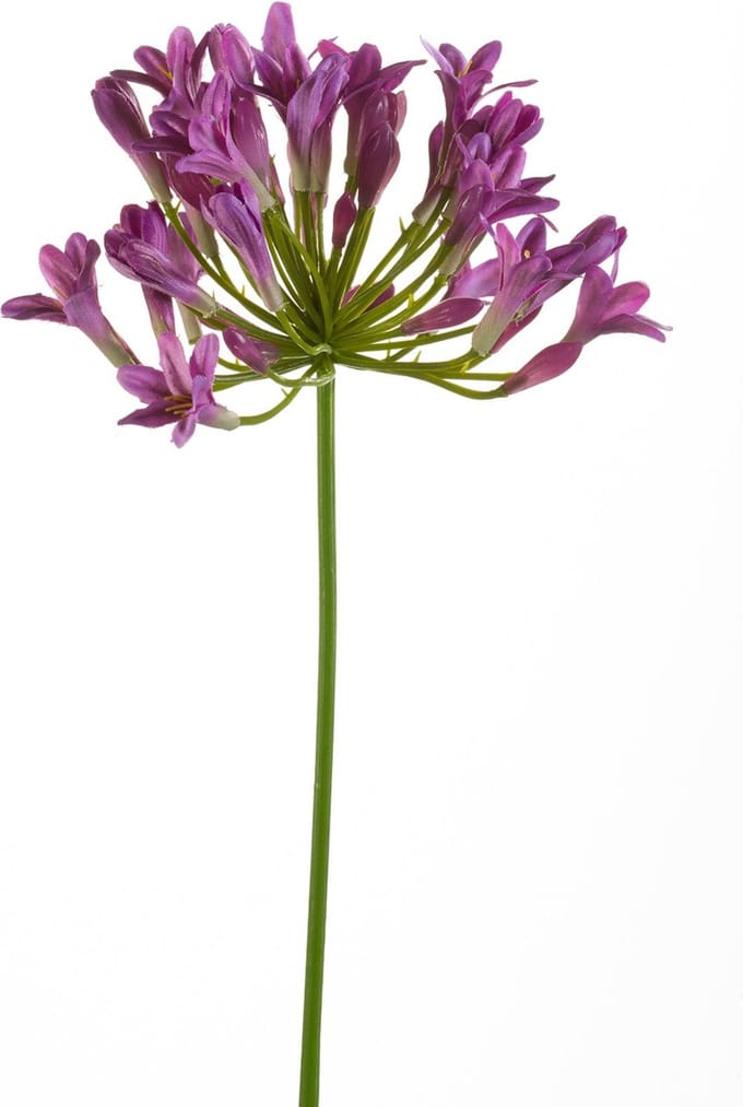 Emerald - Kunstbloem Agapanthus 75cm paars - Kunstplant voor binnen