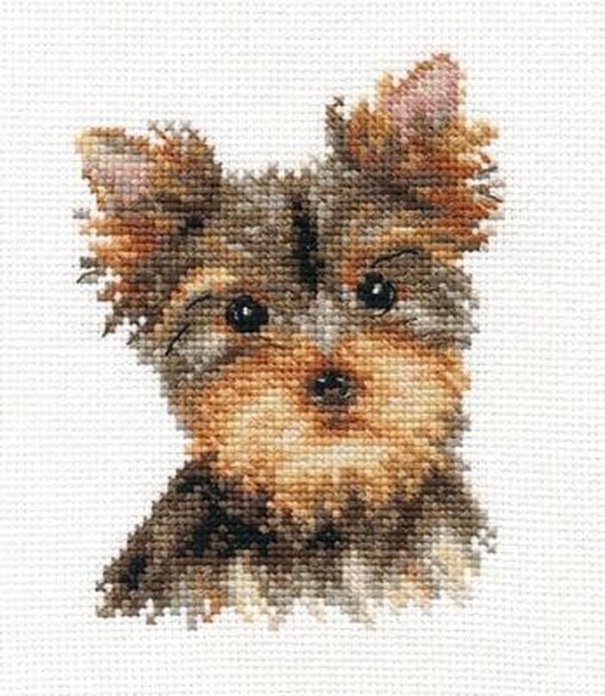 Borduurpakket Yorkshire Terrier - Alisa