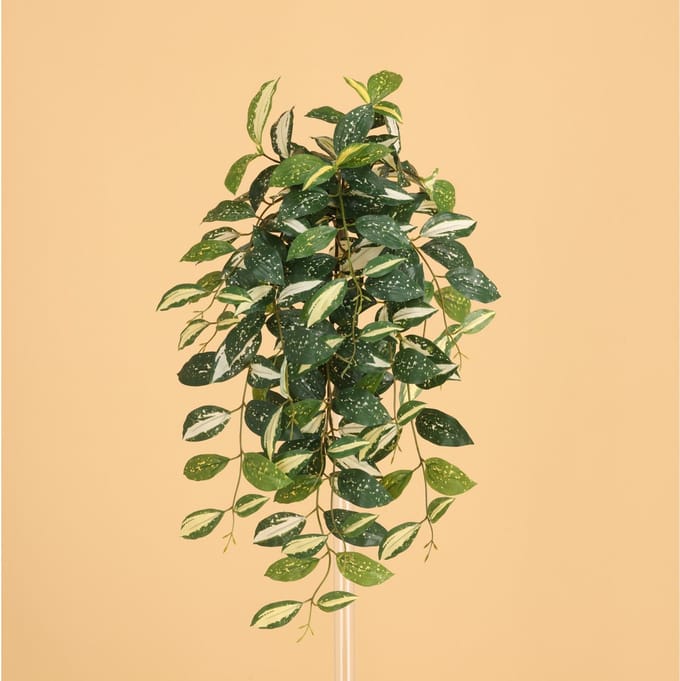 Dracaena Surculosa Milky way Kunst Hanger 75cm