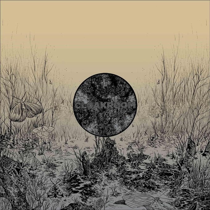 Cloakroom - Infinity (LP)