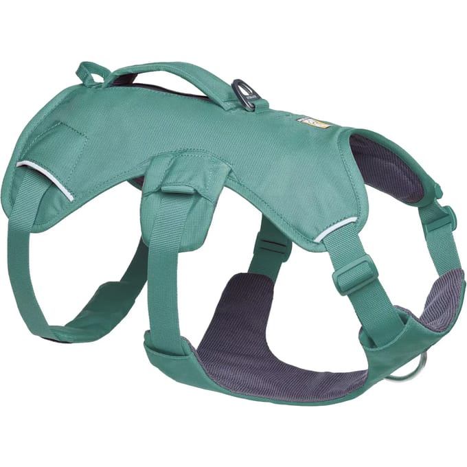 Hondentuig Ruffwear Web Master™