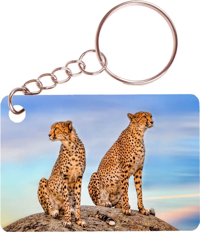 Sleutelhanger 6x4cm - 2 Cheethas op Rots