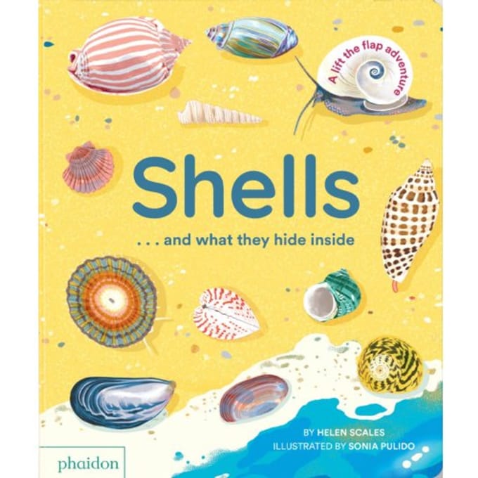 Shells... And What They Hide Inside - Helen Scales
