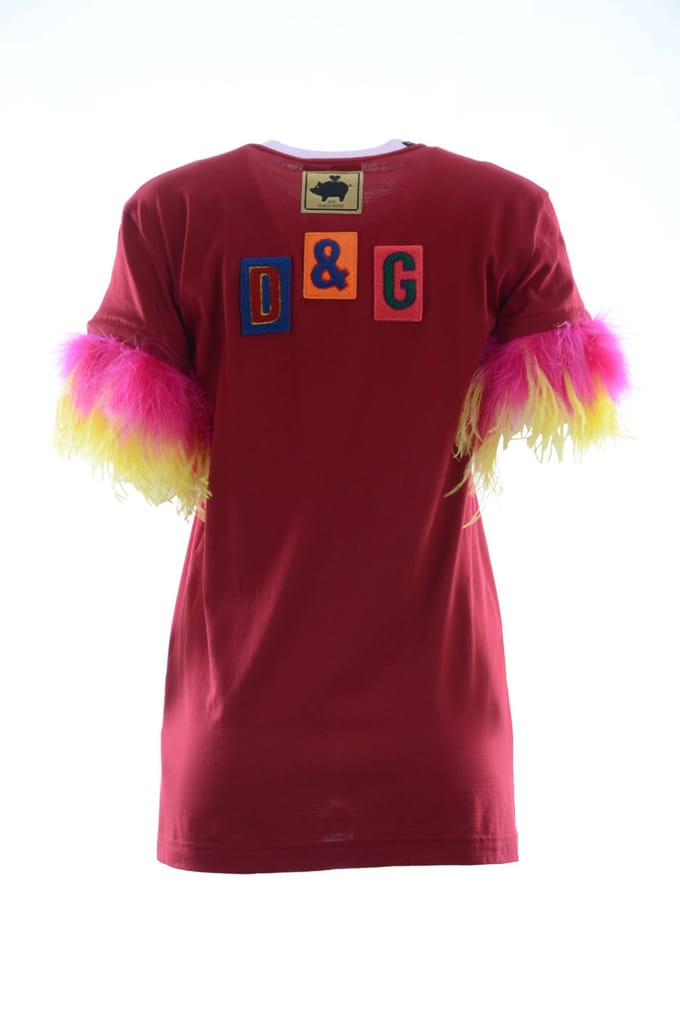 Dolce & Gabbana Vrouwen Veren T-shirt