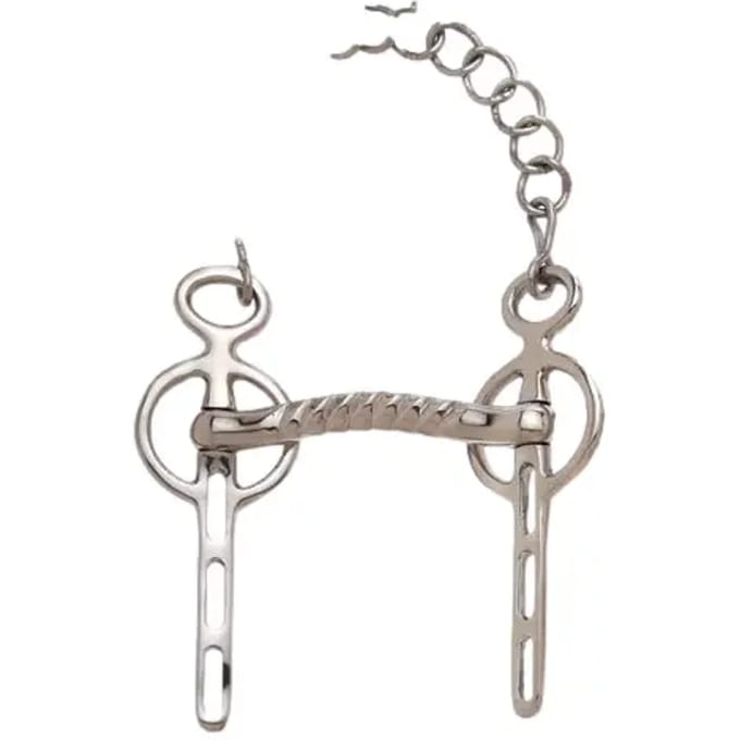Sefton Liverpool Curb Port Bit 3 Sleuven Zilver 12.5 cm
