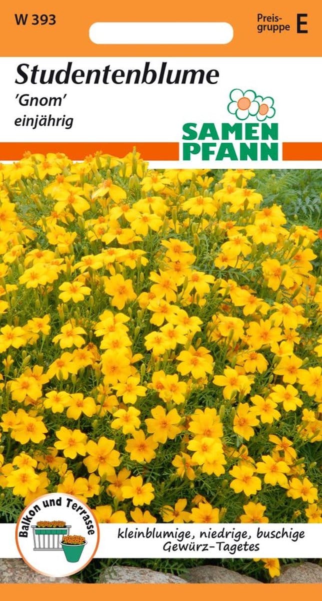 Tagetes, Gnom - Bloemzaden Tagetes Zaden