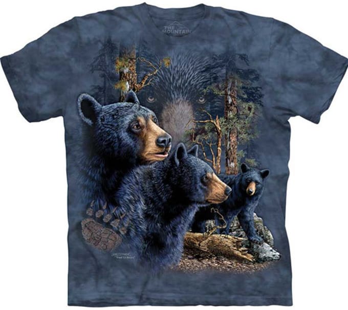 T-shirt Find 13 Black Bears L