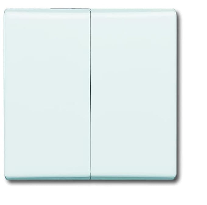 ABB Busch-Jaeger Schakelelement/Centrale Plaat voor Alle weersomstandigheden IP44 - 2CKA001731A1601 - E2ADC