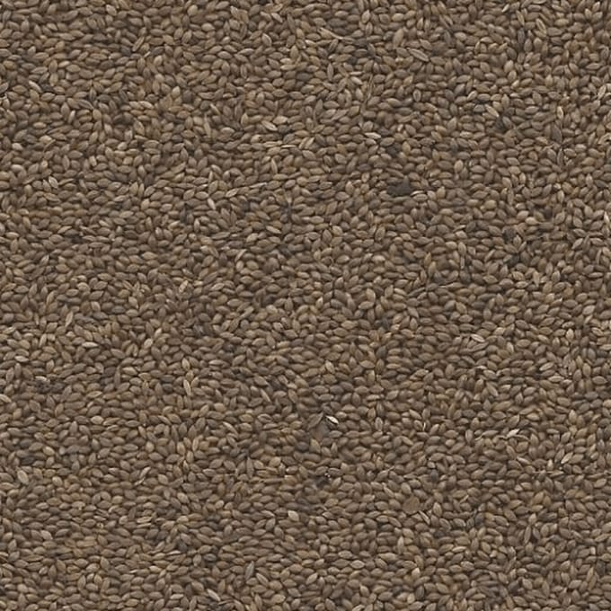 Foniogold - Supplementen - Vogelvoer - Vuurvink (Lagonosticta senegala)
