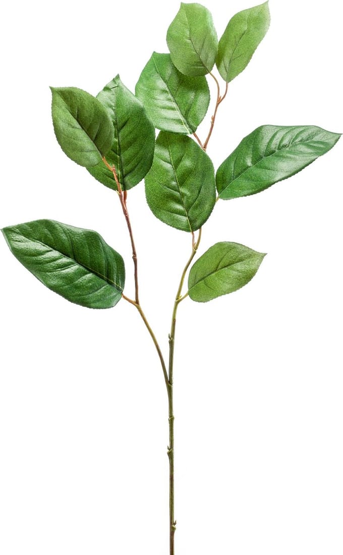 Emerald - Kunsttak Shallon 70cm - Kunstplant voor binnen
