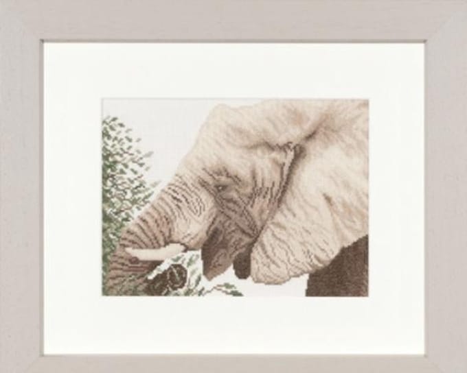 Eating Elephant Aida