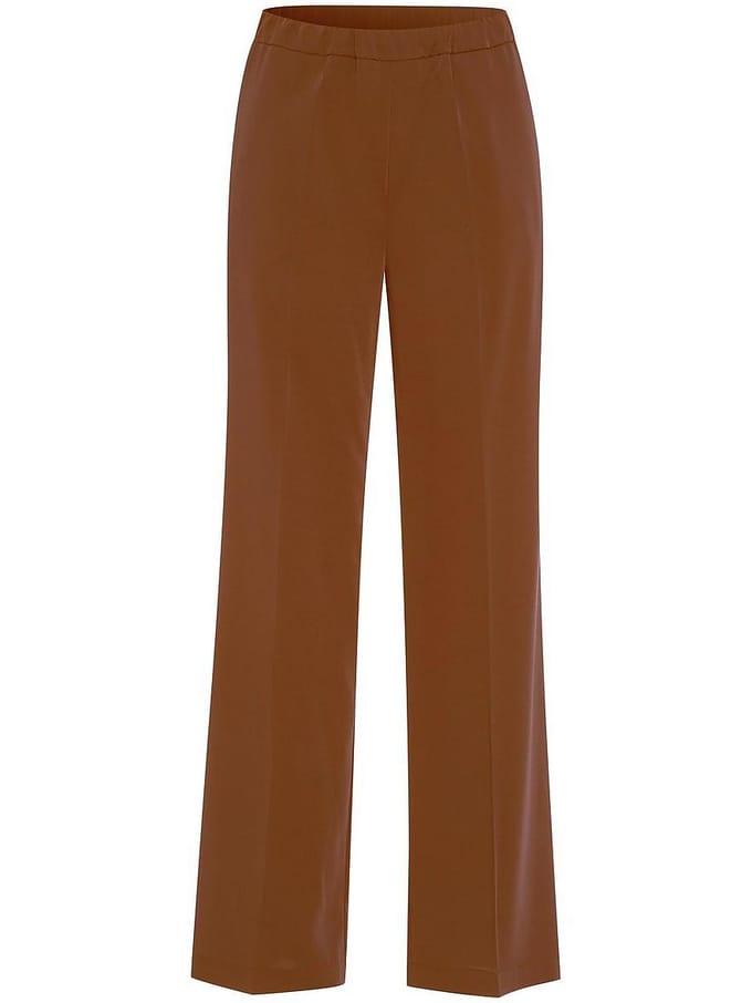 Broek Van Peter Hahn bruin