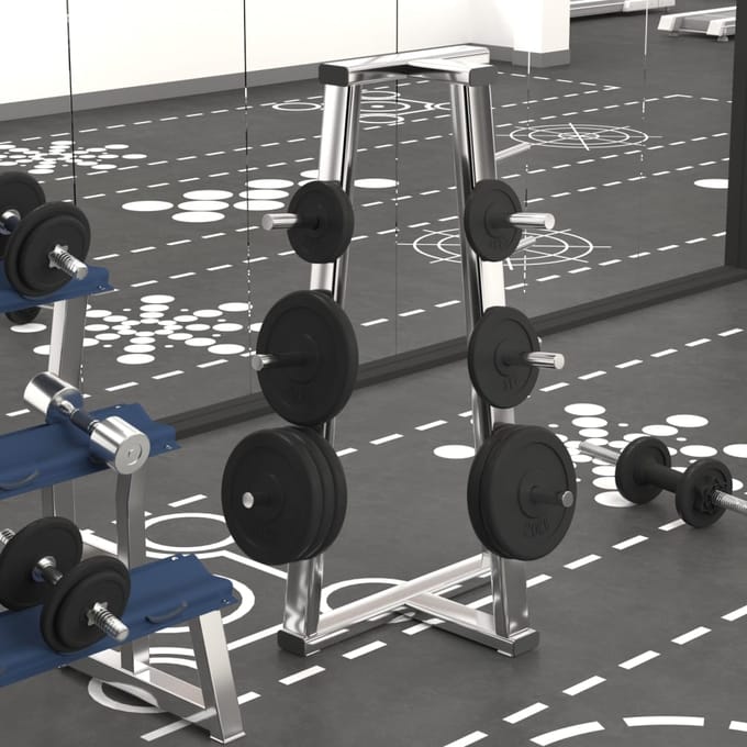 vidaXL - Halterschijf - 40 - kg - gietijzer