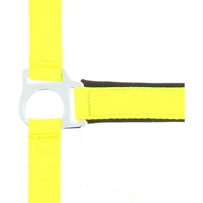 Halster voor paarden Norton Fluo