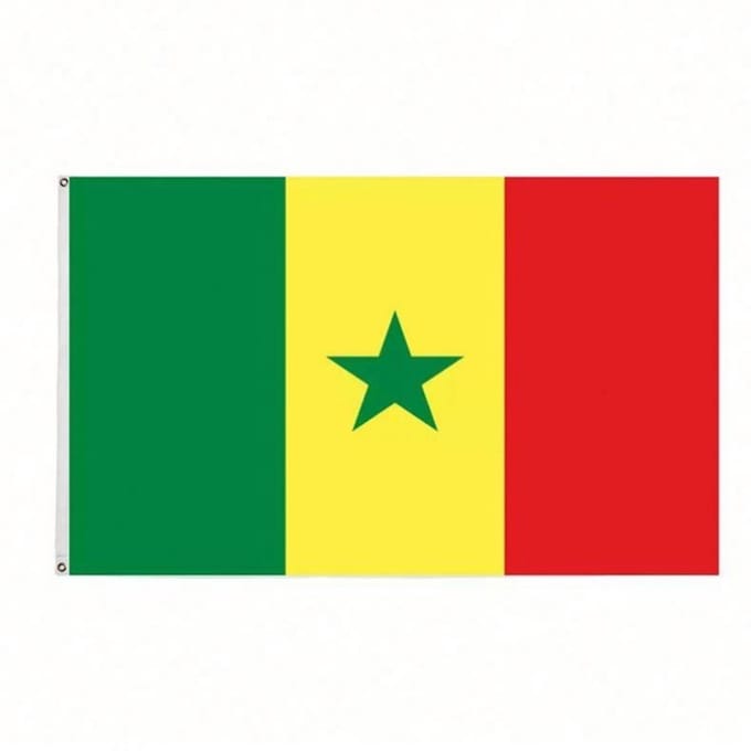 Go Go Gadget - Senegalese Vlag - 90x150cm - Senegal