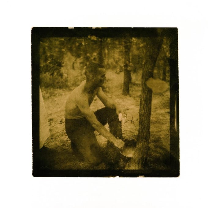 Songs From The Haunted South - Old Fire