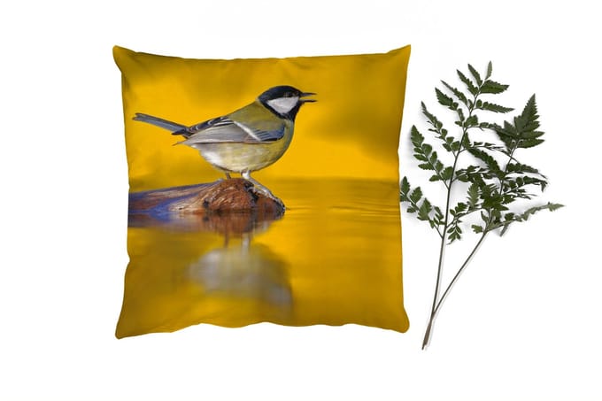 Sierkussens - Kussentjes Woonkamer - 45x45 cm - Koolmees - Vogel - Water
