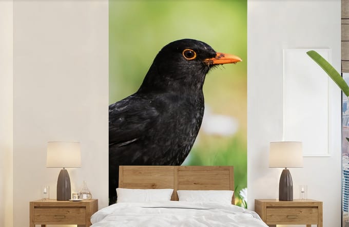 Behang - Fotobehang Vogel - Merel - Bloemen - Breedte 120 cm x hoogte 240 cm