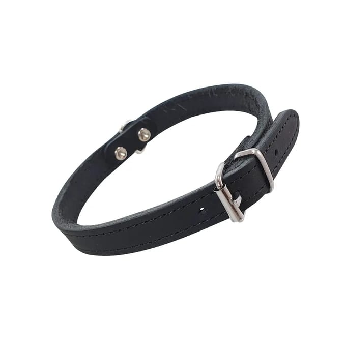 Hondenhalsband Nobby Pet Tabil