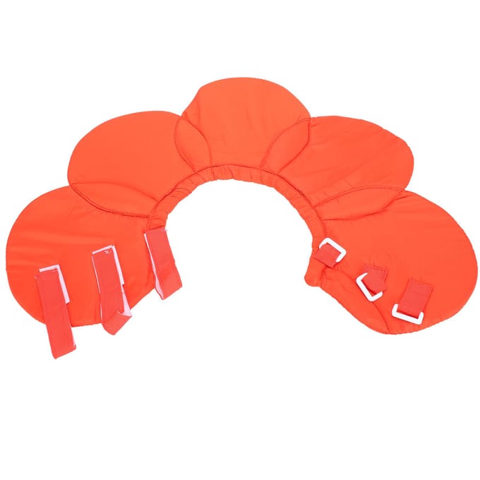 Collier conique pour animaux de compagnie, réglable, récupération douce, pour chat, chien, protection des blessures, couverture de guérison S