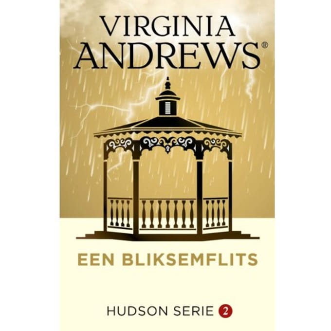 Een Bliksemflits - Hudson - Virginia Andrews