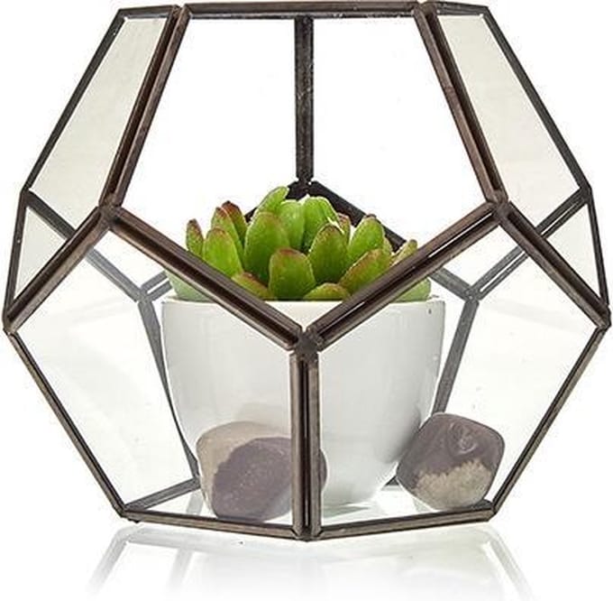 Glazen terrarium - grote achthoek