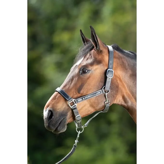 Halster voor paarden HFI First