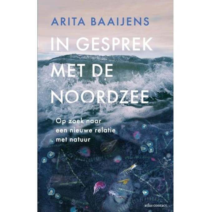 In Gesprek Met De Noordzee - Arita Baaijens