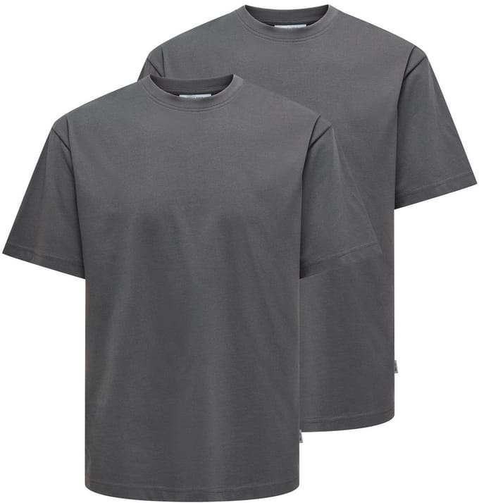 Only & Sons Heren t-shirt 2 pack Onsfred