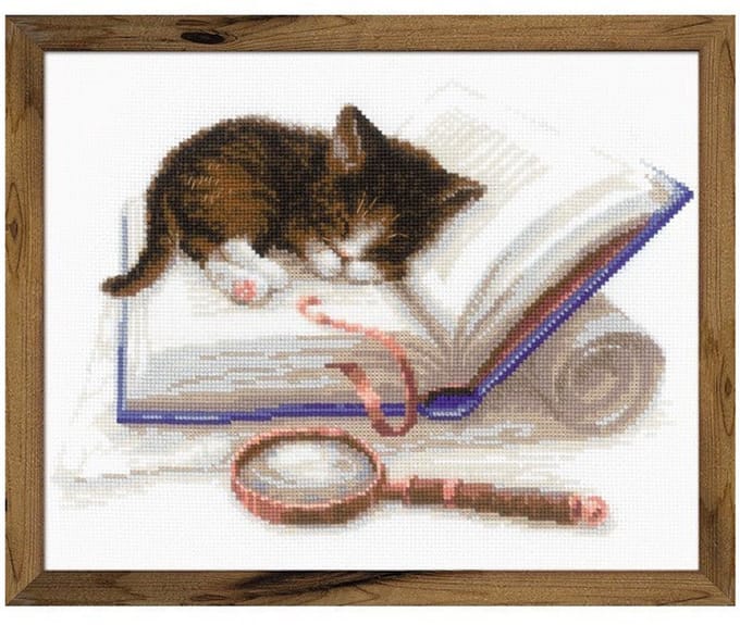 Borduurpakket Kitten Op Het Boek - Riolis