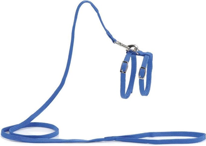 Beeztees - Kattentuigje - Nylon - Blauw - 130 cm x 10 mm