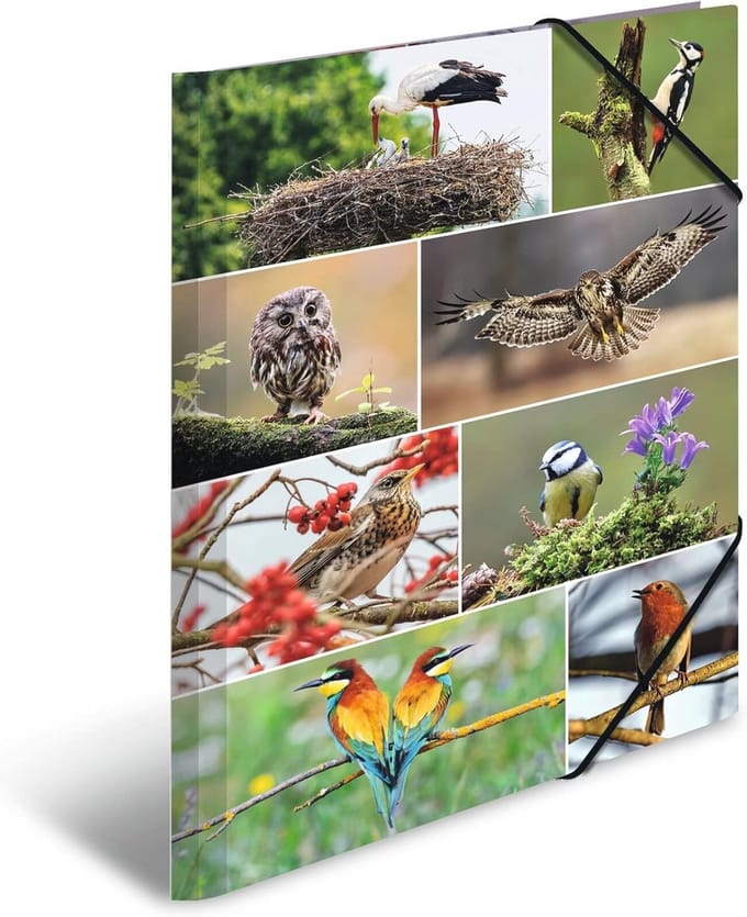 Verzamelmap A3 Thuisvogels - Stabiele Kartonnen Hoekspanner-Map voor Kinderen