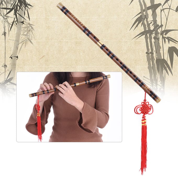 Pluggable Bitter Bamboo Flute Dizi Toonsoort G Studie Niveau Professioneel Key of G