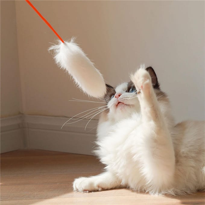 Baguette en peluche pour chat résistante aux morsures, respectueuse de l'environnement, fabriquée à la main, douce et flexible, jouets pour chat blanc