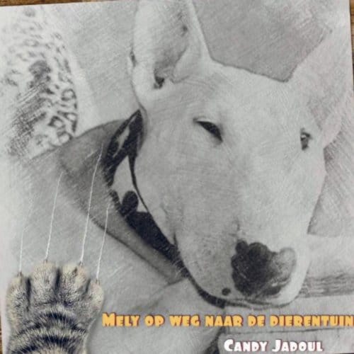 Mely Op Weg Naar De Dierentuin - Candy Jadoul