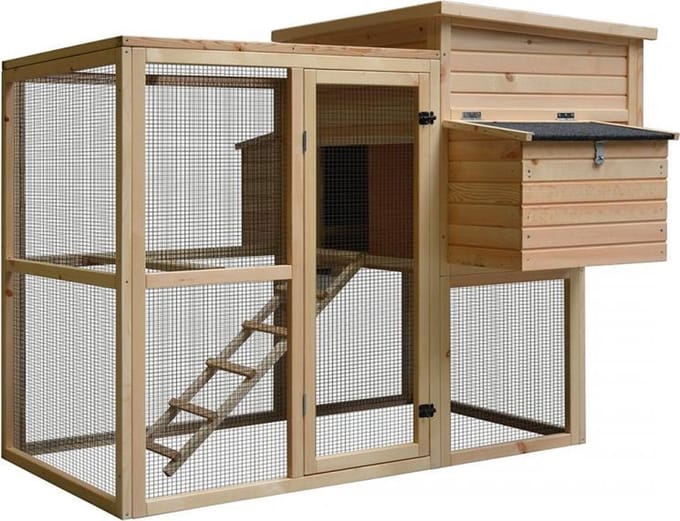 Duvo+ kippenhok loft attic pinus 172x146x125,5cm