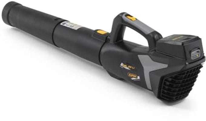 Draadloze Bladblazer 20V met Variabele Snelheid en Lithium-Ion Accu