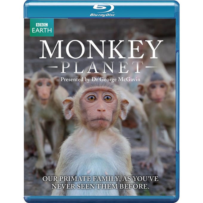Monkey Planet