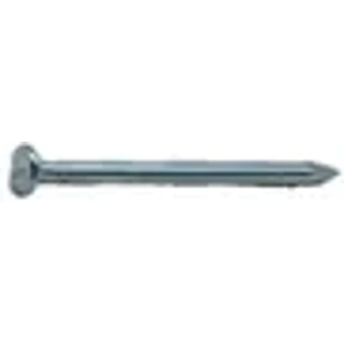 Sencys Spijkers Met Platte Kop Gegalvaniseerd 1,2x20mm - 800 Stuks