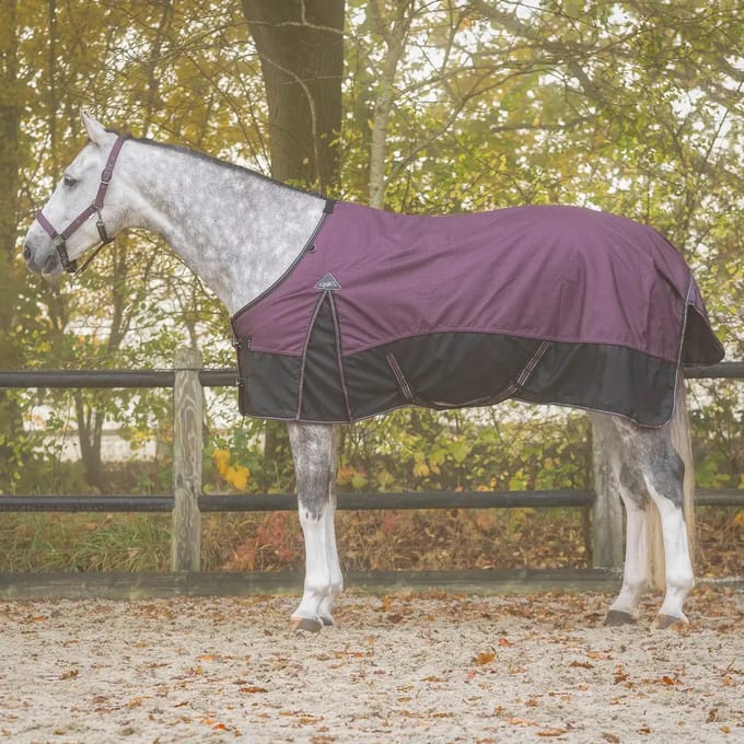 Paardendeken QHP Collection 50 g