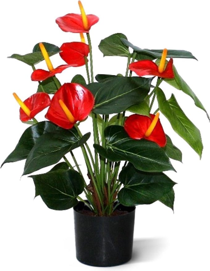 Anthurium deluxe kunstplant 50cm - rood