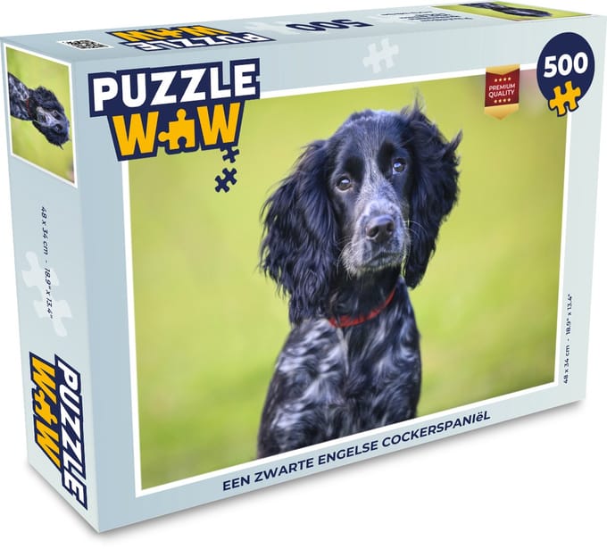 Puzzel Een zwarte Engelse cockerspaniël - Legpuzzel - Puzzel 500 stukjes