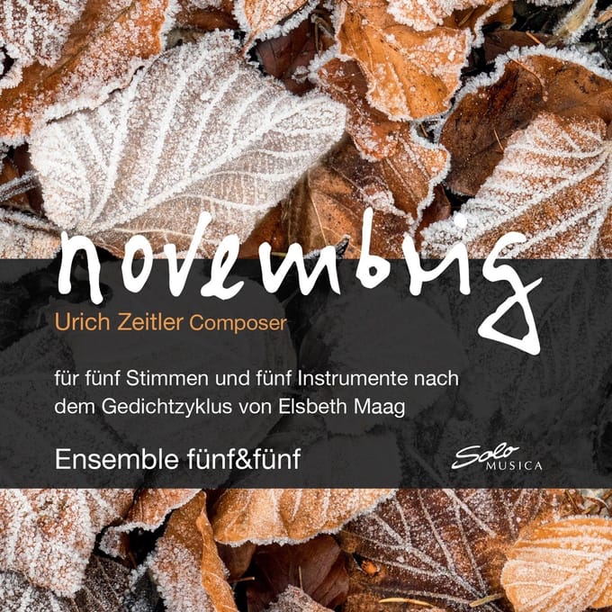 Ensemble Fünf & Fünf - Novembrig (CD)
