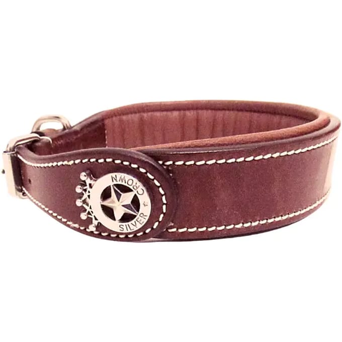 Hondenhalsband Silver Crown Carlotta
