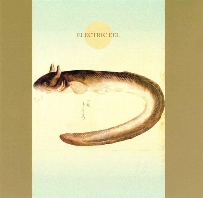 Electric Eel