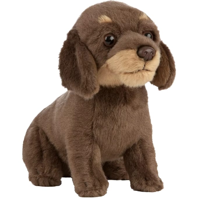 Kinderknuffel Akah Animal Wire-haired Dachshund Puppy