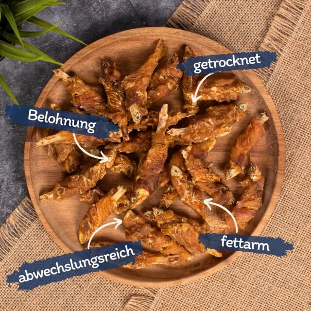 5 kg Lyra Pet® Wrap met kip en vis
