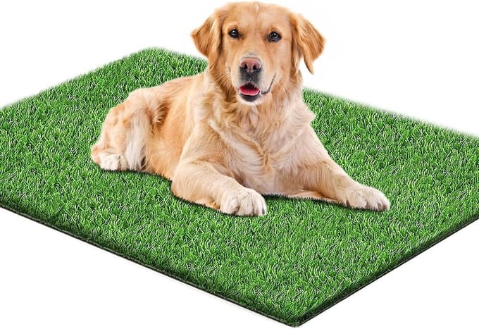 Hondentoilet kunstgras - Zindelijkheidstraining hond - Geurafstotend - Hondentrainer