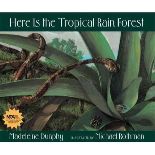 Here Is The Tropical Rain Forest - Madeleine Dunphy