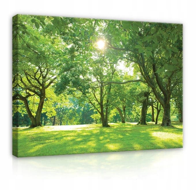 WALLARENA - Canvas schilderij - 100x70 cm - afbeelding van bomen op een weide in de natuur